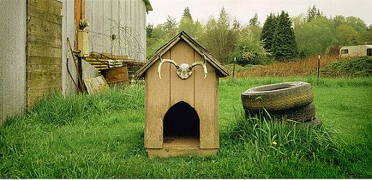 2D横板平台冒险游戏《Symphonia》明年发售